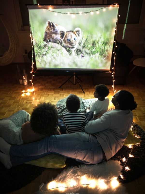 Cozy-Movie-Night-Family-Get-Together-Themes