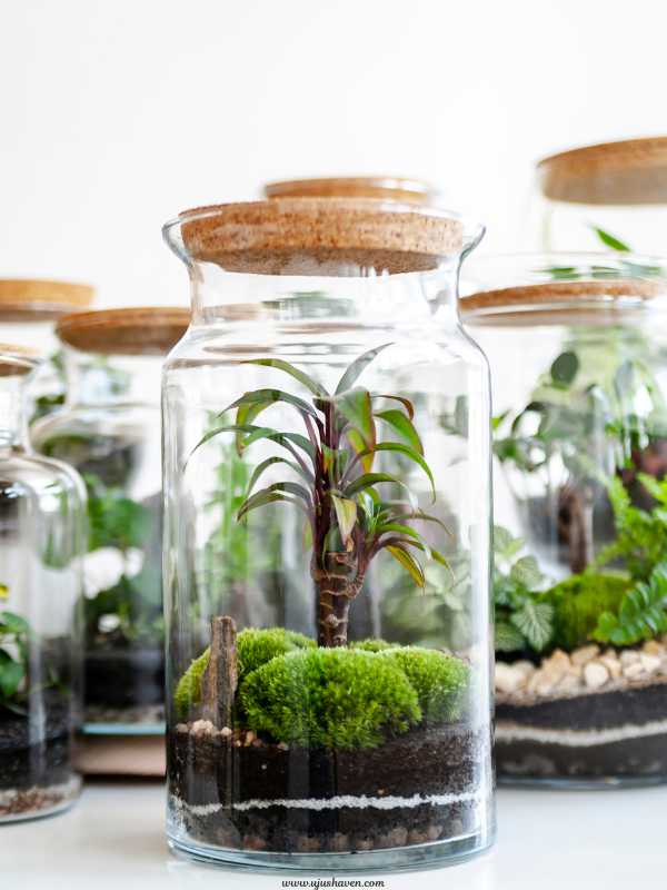 DIY-terrarium-jars-Valentine's-Day-Crafts-For-Adults