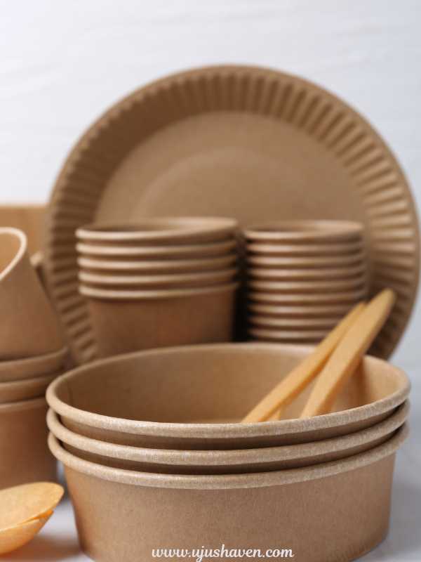 Use-disposable-o- semi-disposable-tableware