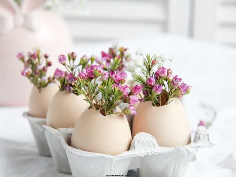 Eggshell-Planters