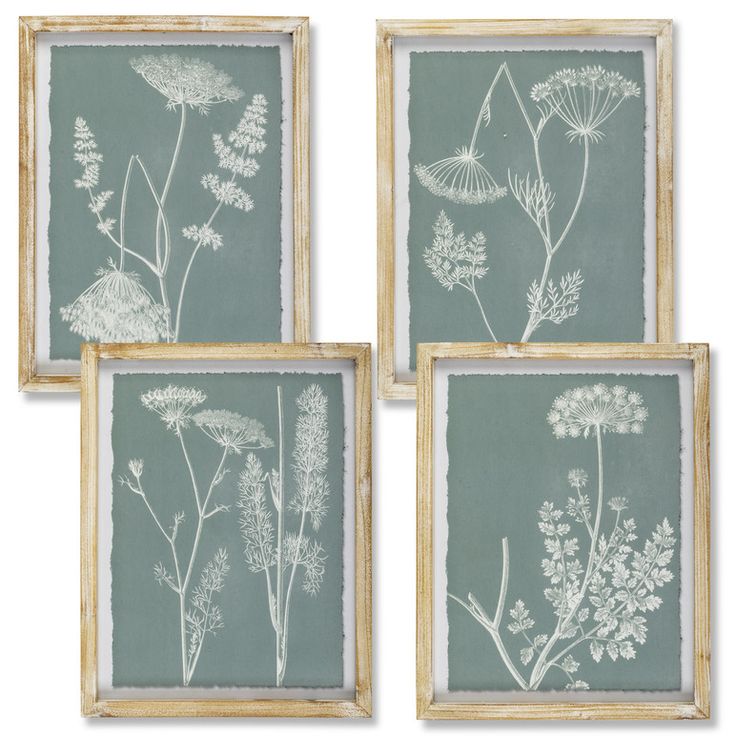 Framed-botanical-prints