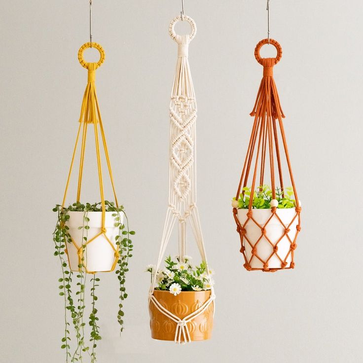 Hanging-plant-holders