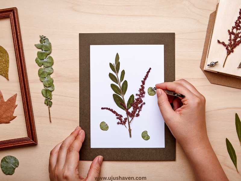 Pressed-flower-frames