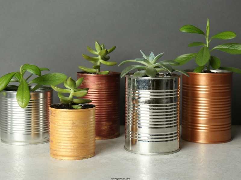 Upcycled-tin-can-planters