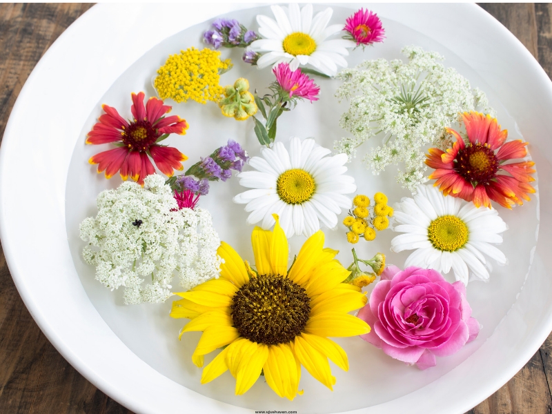 Water-filled-bowls-with-floating-flowers