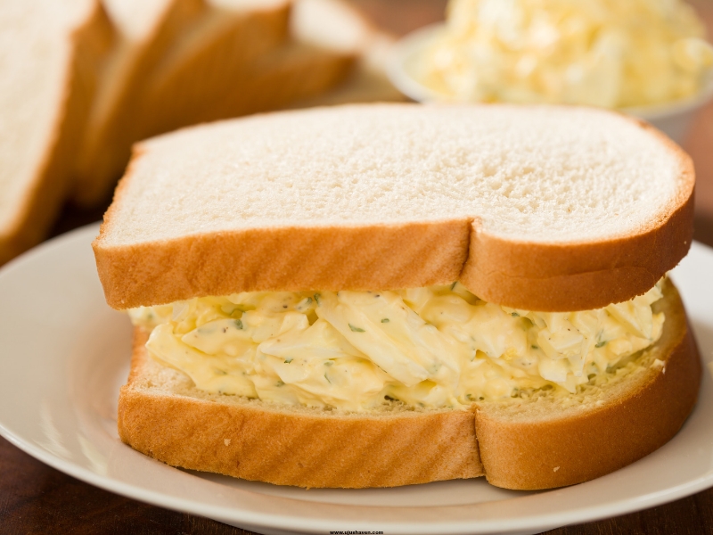 Egg-and-Bread-Sandwich