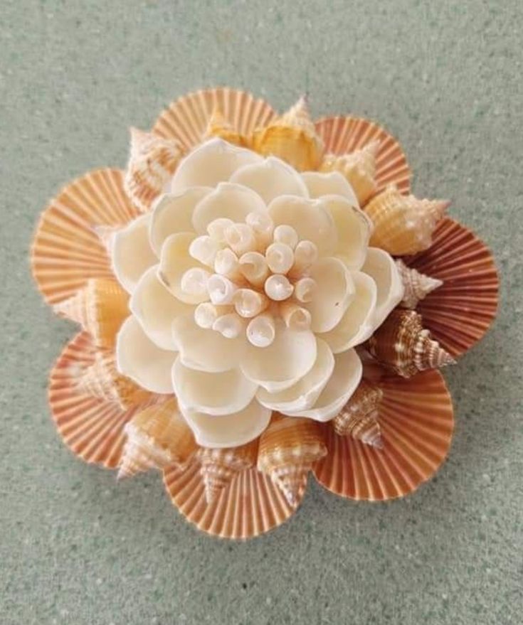 Seashell-Flower-Art.