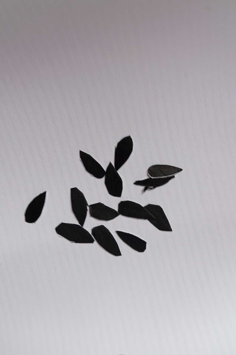 Step-5-Cut-Out-the-Watermelon-Seeds.