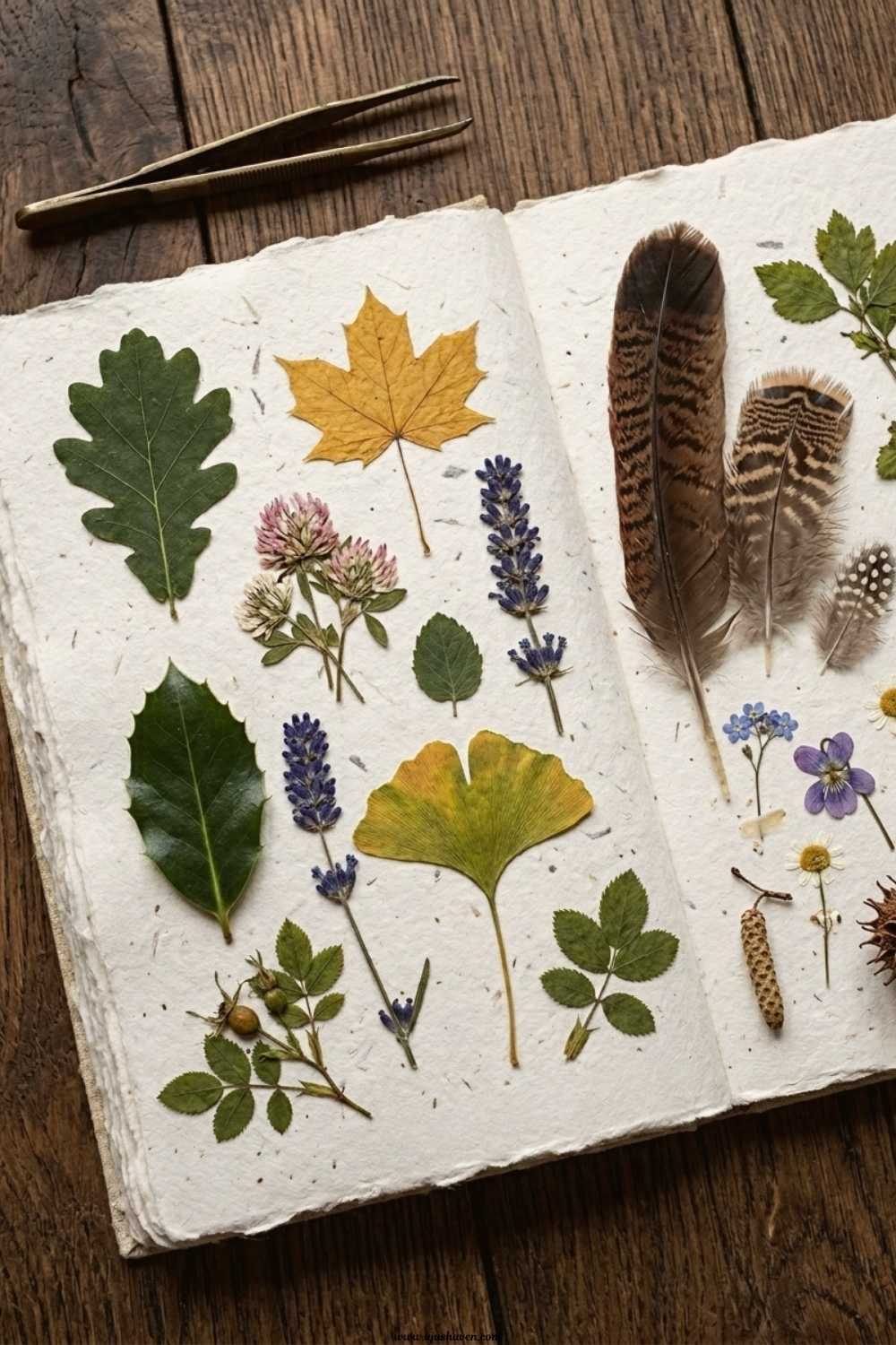Nature-Journaling-Relaxing-Crafts-for-Adults