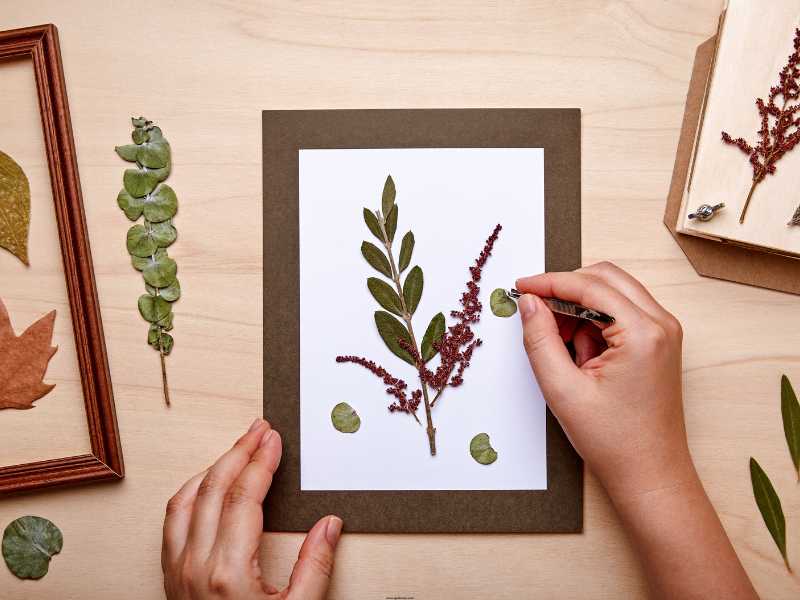 Pressed-Flower-Art