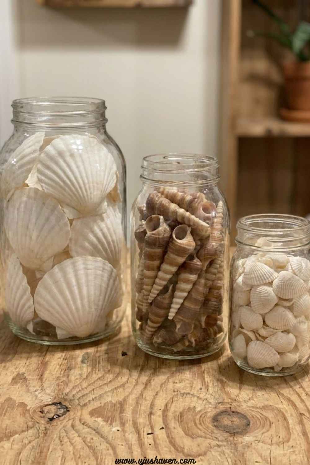 Seashell-Arranging-Mindfulness-Crafts-for-Adults