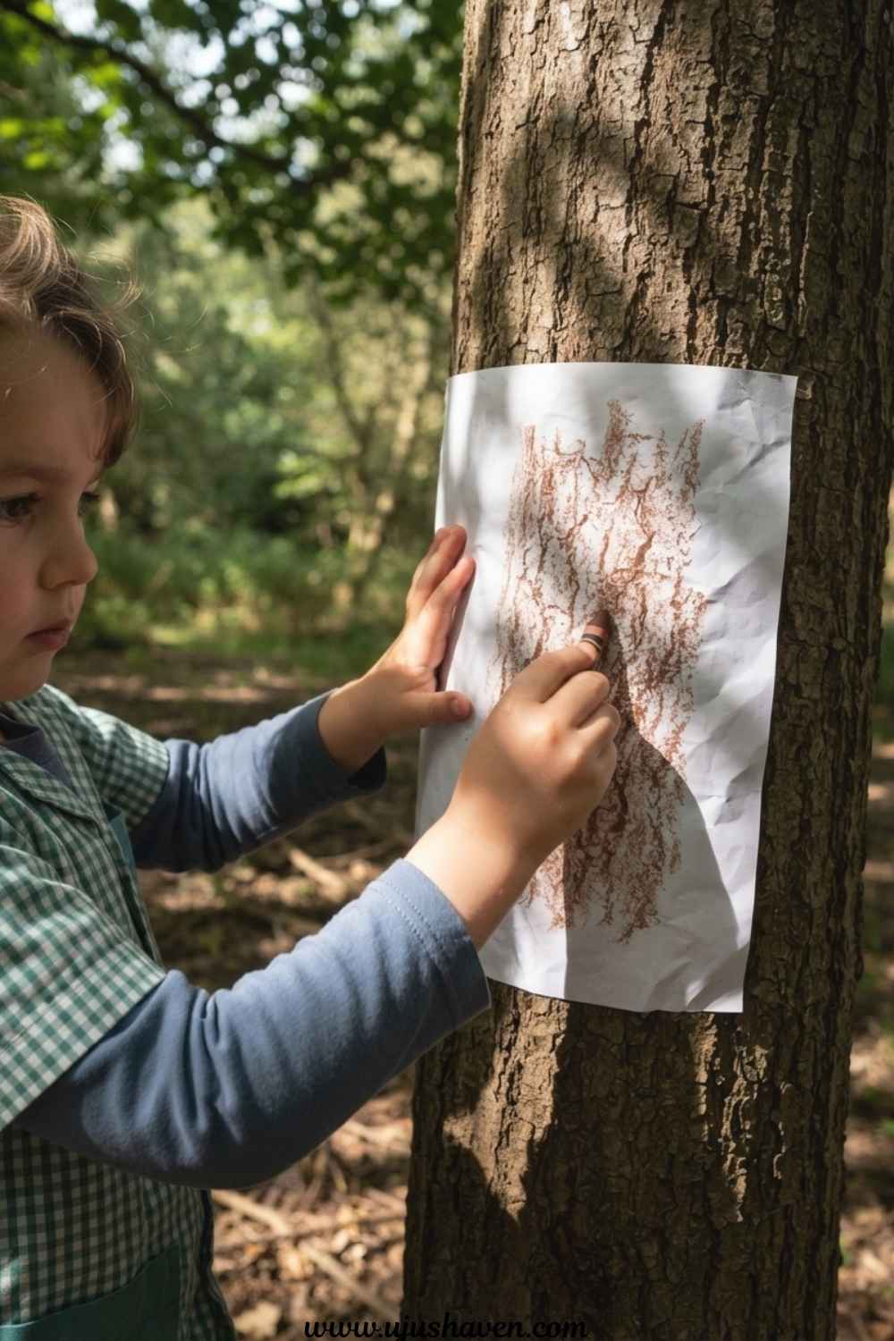 Bark-Texture-Rubbings
