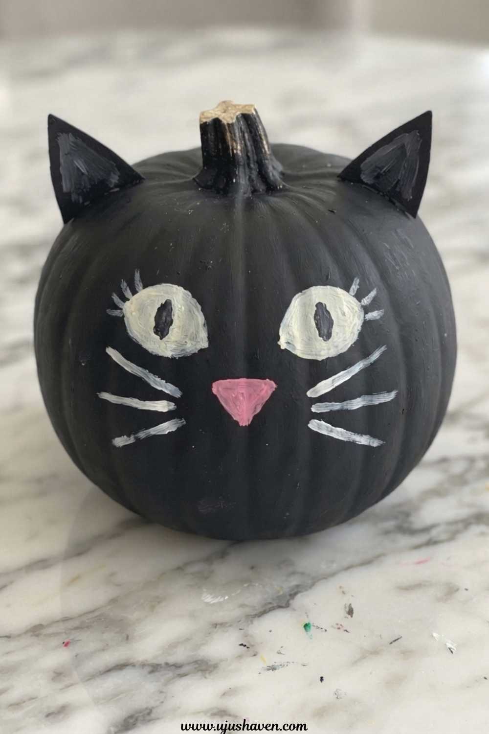 Cat-Pumpkin.