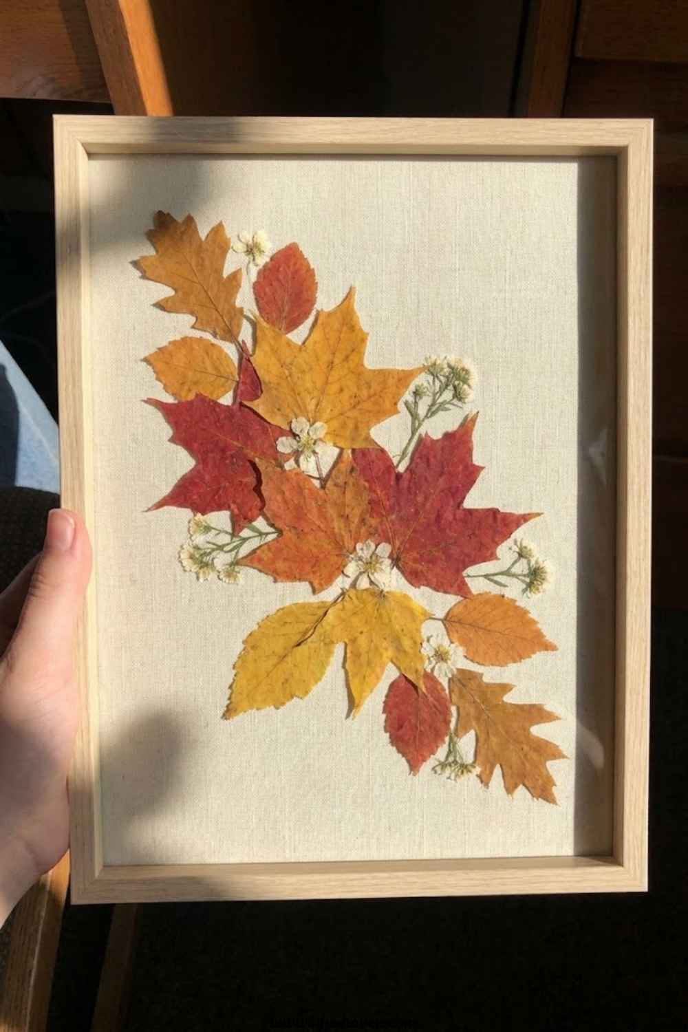 Framed-Pressed-Leaf-Art