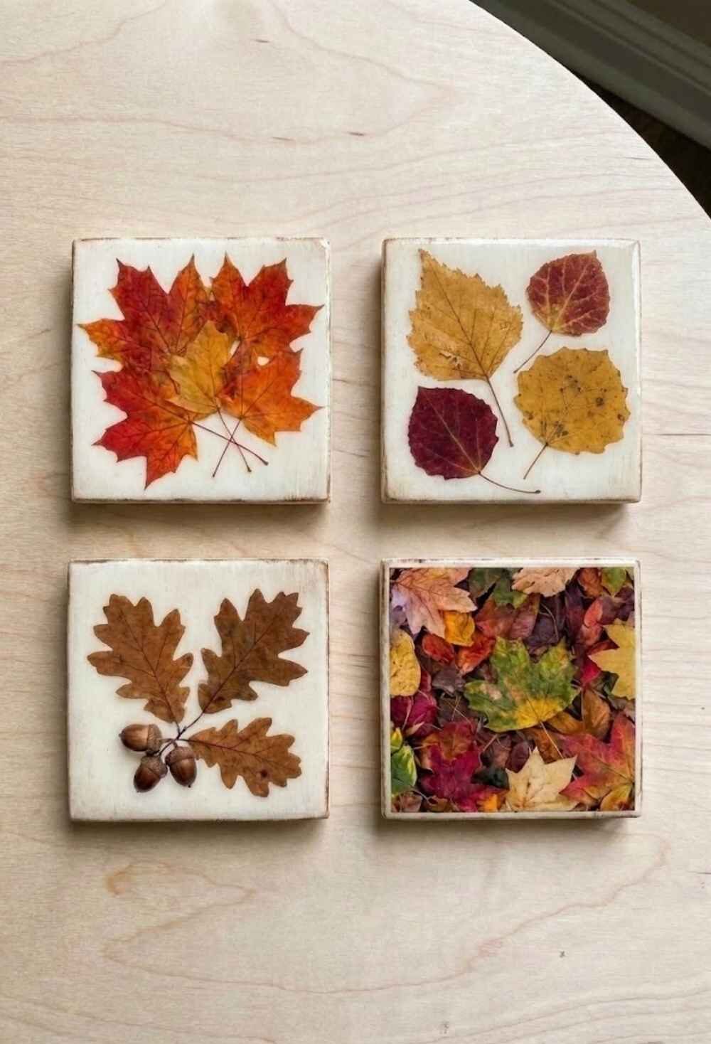 Mod-Podge-Leaf-Coasters-Fall-Leaf-Crafts-for-Adults.