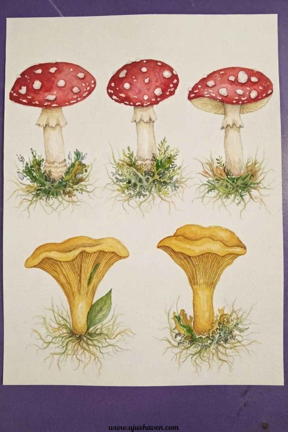 Watercolor-Mushroom-Prints