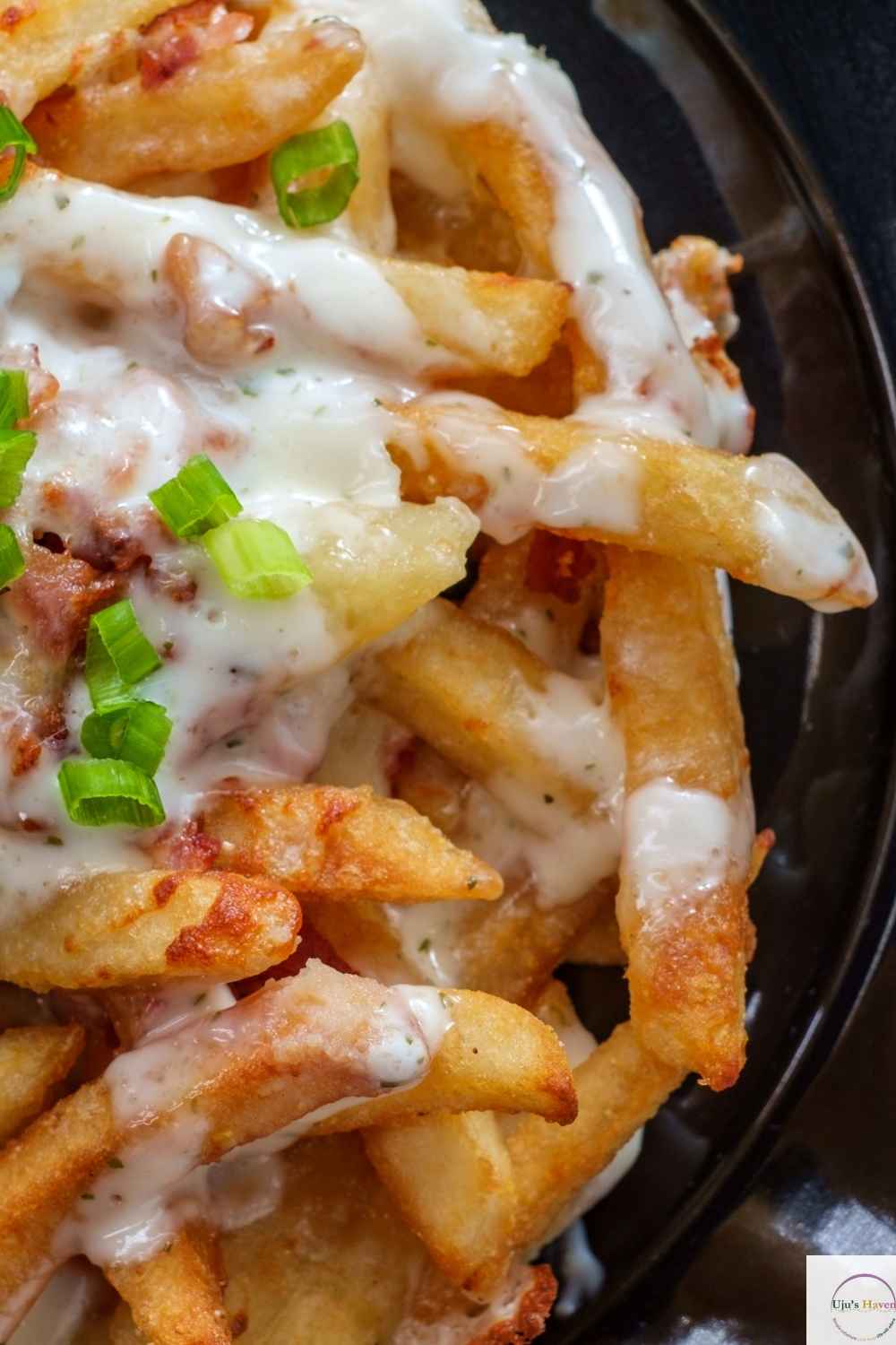 Loaded-Fries