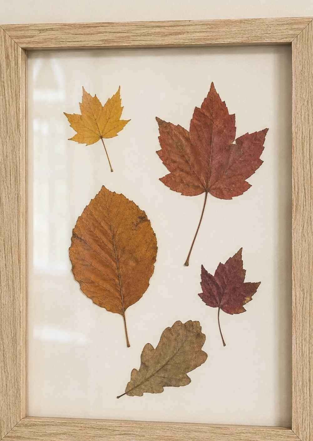 Pressed-Leaf-Frame-Easy-November-Crafts-for-Seniors.