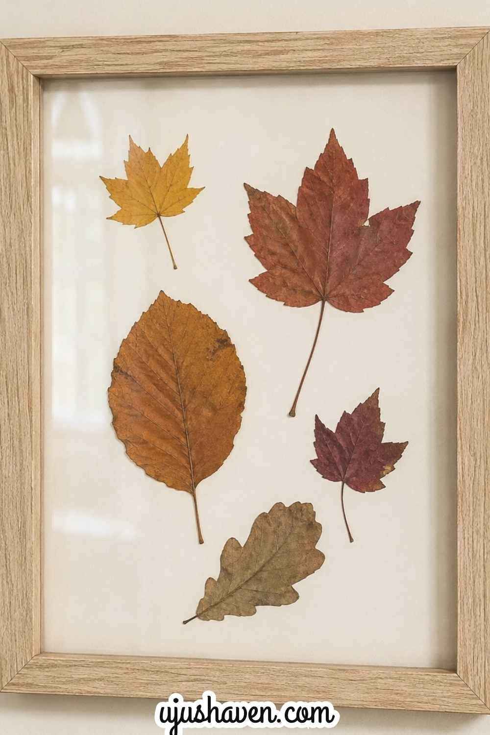 Pressed-Leaf-Frame-Easy-November-Crafts-for-Seniors.