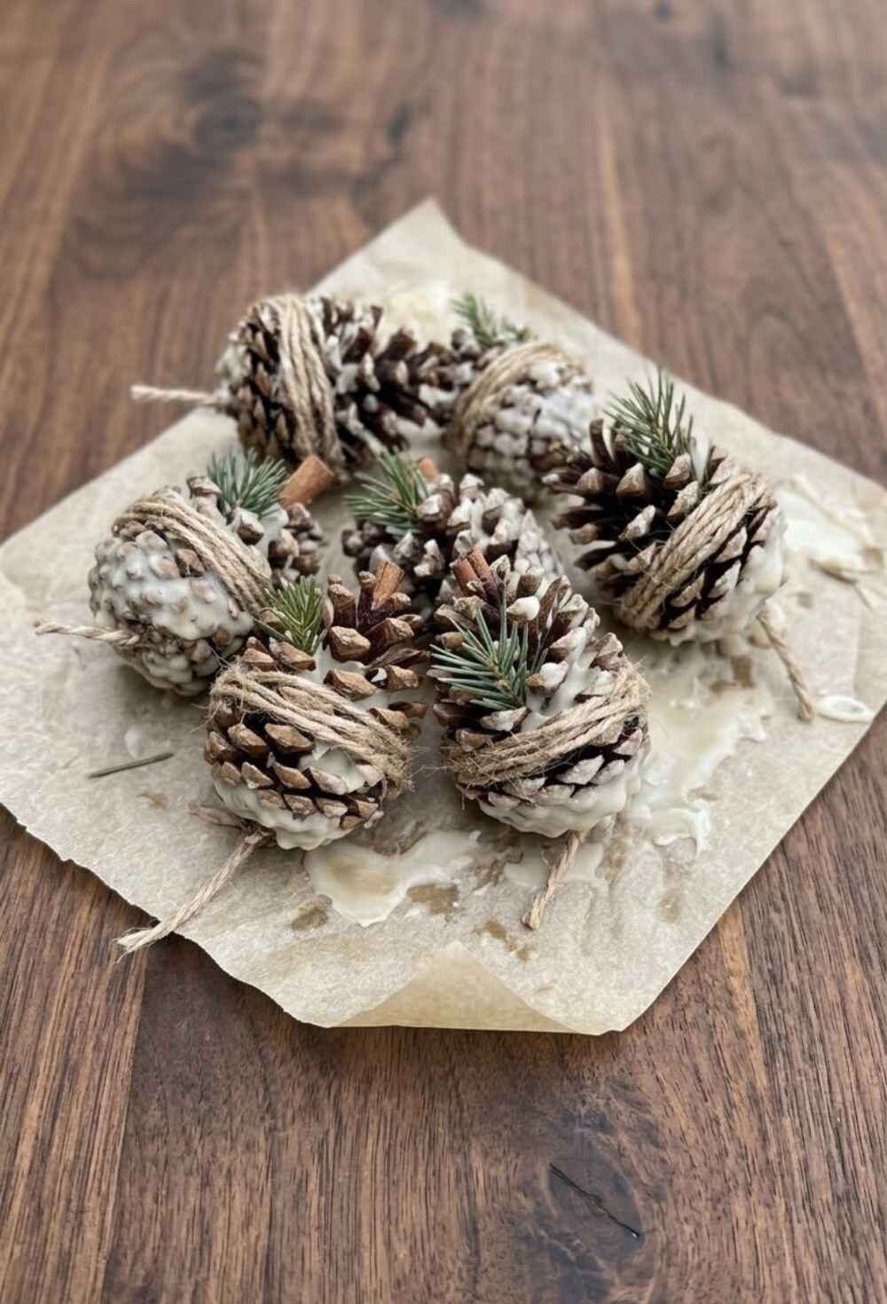 Pinecone-Fire-Starters-Winter-Nature-Crafts-For-Adults.