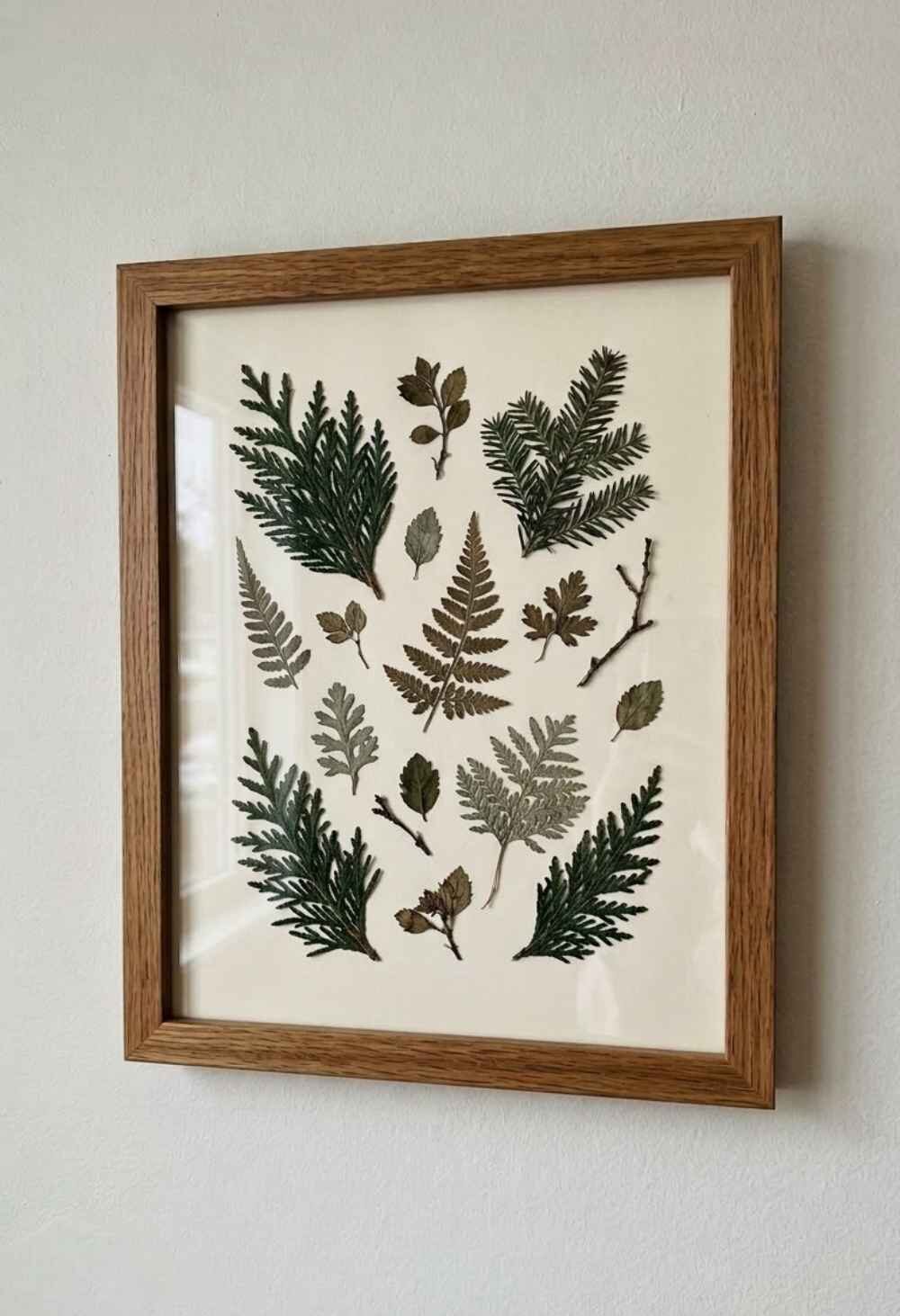 Pressed-Leaf-Framed-Art
